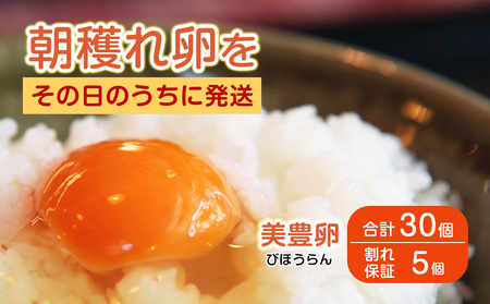熊福こだわり美豊卵　30個