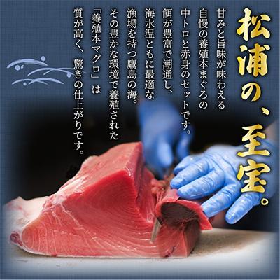 ふるさと納税 松浦市 鷹島産本まぐろ　中トロ赤身合わせて350g　まぐろ丼のタレ付き |  | 01