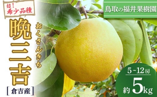 【期間限定】【生産者応援品】令和8年産 希少梨 晩三吉 5kg（5～12玉） 倉吉産 福井果樹園 おくさんきち 梨 なし ナシ ブランド梨 冬梨 希少品種 果物 フルーツ 先行予約 和梨 数量限定