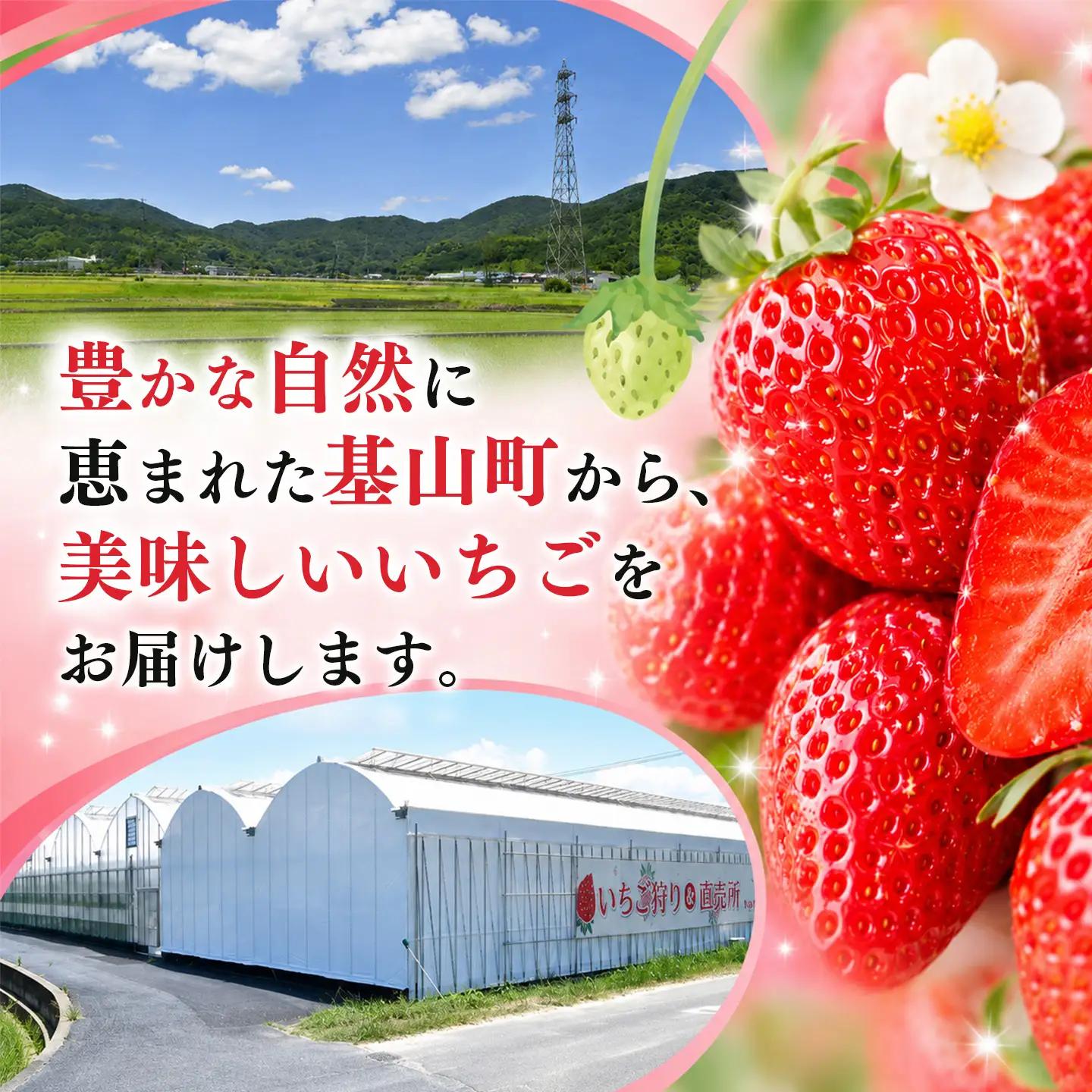 【2027年1月発送】【先行予約】【農場直送！】よつぼし(約280g×4P) K100068