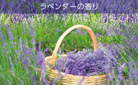 空気をかえようエステー　トイレの消臭力　ラベンダー18個1ケース | トイレの消臭力 消臭芳香剤 エステー製品 トイレ用消臭剤 ナノパウダー ラベンダー 強力消臭 長持ち香り 尿臭対策 芳香調整可能 