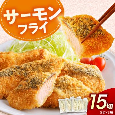 ふるさと納税 えりも町 えりも【マルデン特製】サーモンフライ5切(300g)×3p【er002-116】