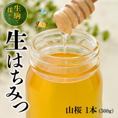 ふるさと納税 生駒市 生駒で採れた蜂蜜「山桜」500g |  | 01