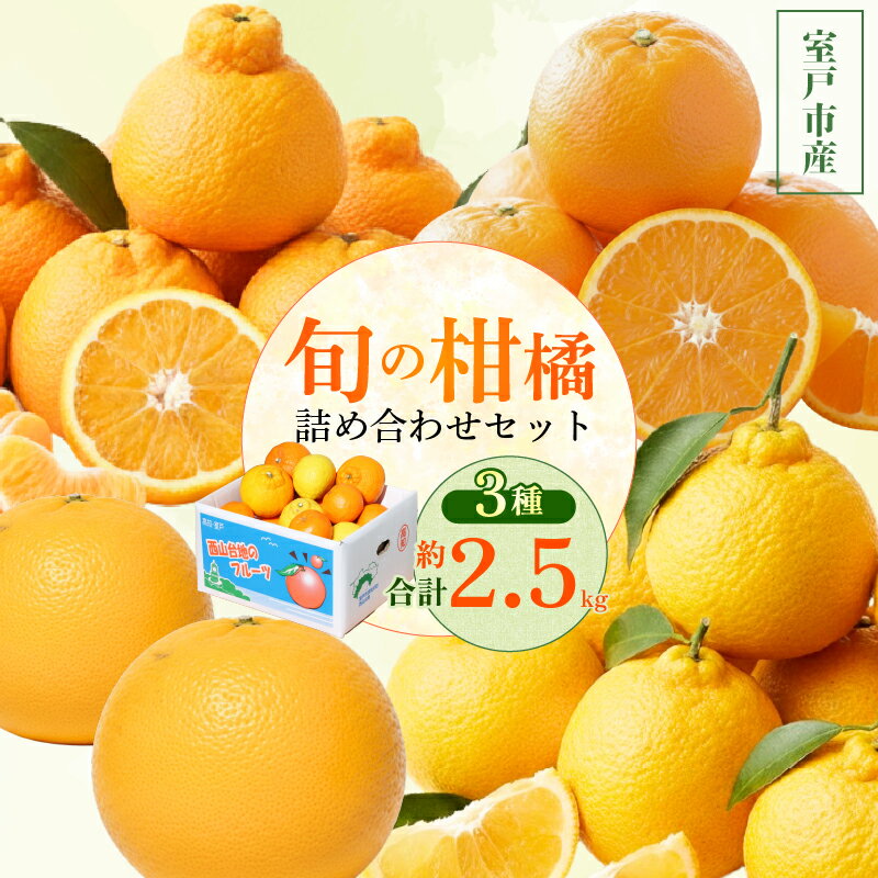 【ふるさと納税】【旬の柑橘詰め合わせ2.5kg】 訳あり 柑橘 詰め合わせ 食べ比べ ミカン みかん 蜜柑 ポンカン ぽんかん せとか デコポン 不知火 しらぬい なつみ 小夏 フルーツ くだもの 果物 青果 産直 旬 期間限定 家庭用 西山台地のフルーツ園 高知県 室戸市