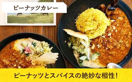 【カレー堪能セット！】小値賀島のピーナッツカレースパイスキット・切干大根30ｇ 各2セットカレー カレー キット カレー [DAA060]