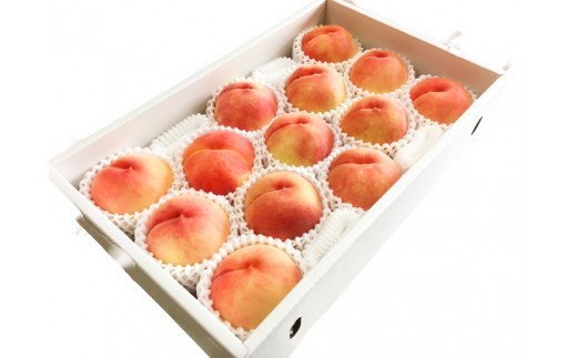 紀州和歌山産の桃　約4kg　化粧箱入	※2026年6月下旬頃〜2026年8月上旬頃順次発送（お届け日指定不可）【uot723A】