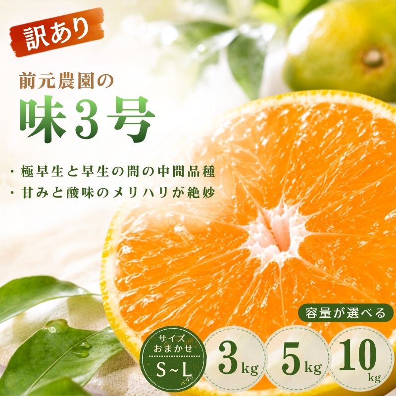 【ふるさと納税】訳あり 前元農園の味3号 S～Lサイズおまかせ / 3Kg 5kg 10kg 【容量が選べる】 くだもの フルーツ 果物 家庭用 人気 みかん ミカン 柑橘 訳あり わけあり 数量限定 旬 【2026年10月下旬頃～順次発送予定】