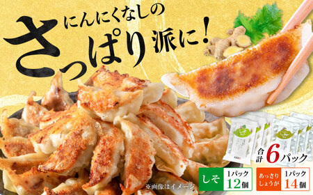 【お中元対象】【さっぱり！しそ＆しょうが派×3パック】餃子2種セット！【餃子屋ヒロ】開成町 餃子 点心 惣菜 冷凍[BDAS008-6]