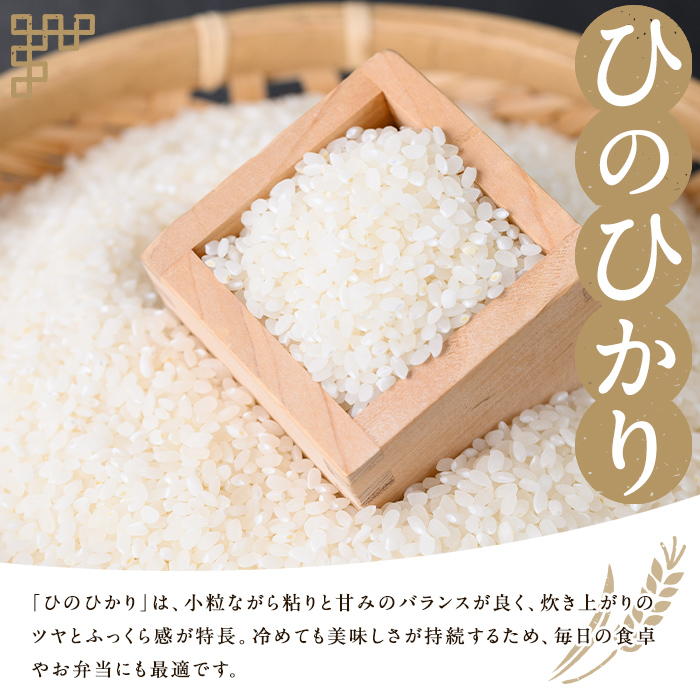 s424 ＜令和6年産＞薩摩のさつま(5kg) 鹿児島 国産 九州産 お米 こめ 白米 精米 ヒノヒカリ ごはん ご飯【JA北さつま】