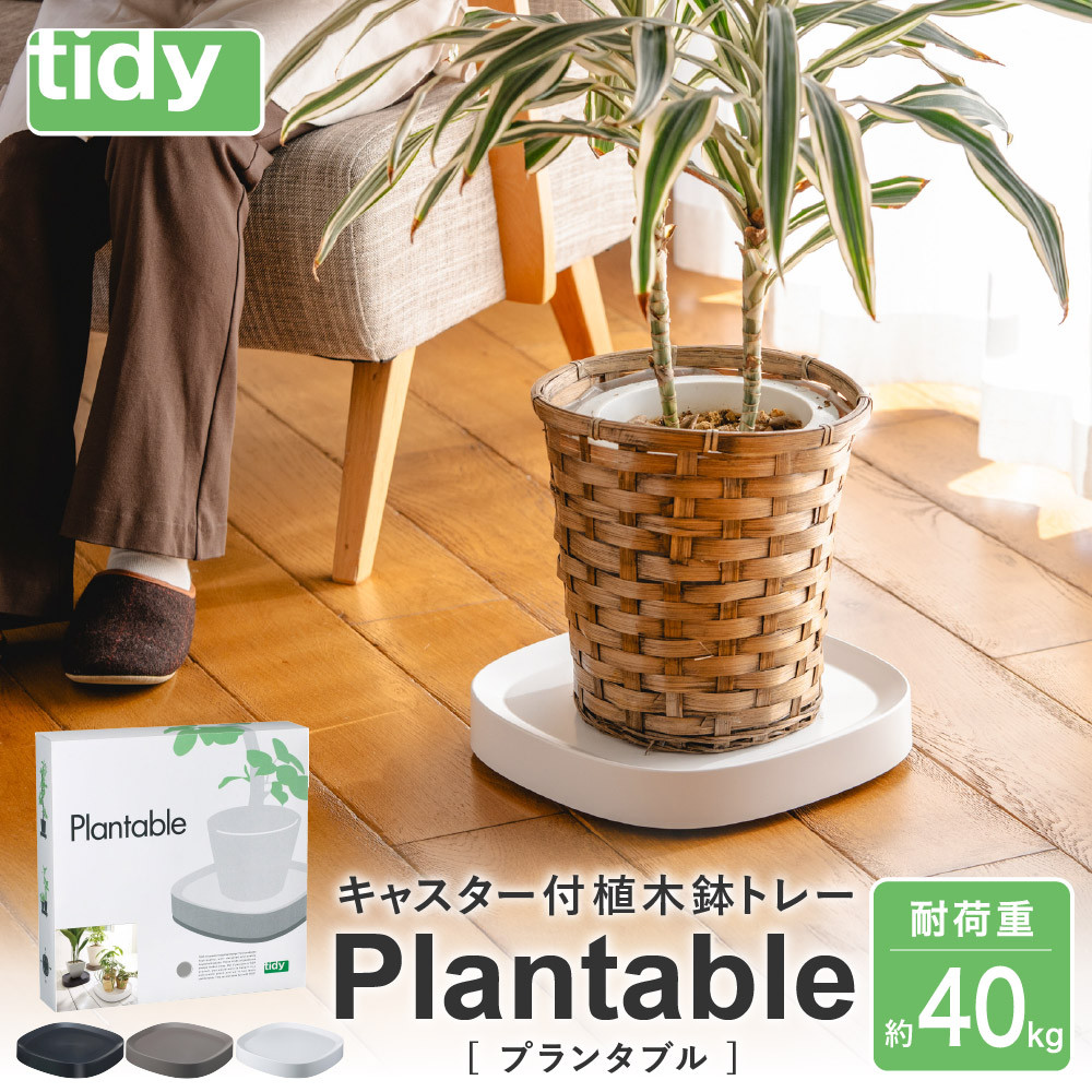 
012EB04N.tidy ティディ Plantable（キャスター付植木鉢トレイ）／台 観葉植物 トレイ プランター 受け皿 受皿 鉢皿 らくらく移動 可動式 軽量 ガーデニング リビング オフィス 玄関 掃除用品 掃除 お掃除 日用品 インテリア 雑貨 おしゃれ
