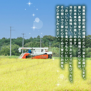 【 令和7年産 5kg 定期便 6ヶ月 】 きぬむすめ 米 白米 2025年産 キヌムスメ 国産 滋賀県 日野町 農家直送 お米 精米 おこめ こめ 産地直送 ふるさと納税