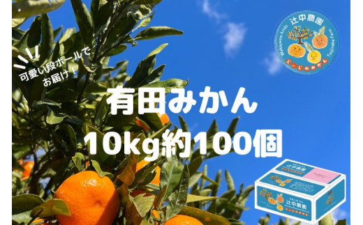 
本場有田みかん じぃじのみかん10kg
