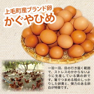 かぐやひめ卵のマドレーヌ＆レモンケーキセット　KT0102