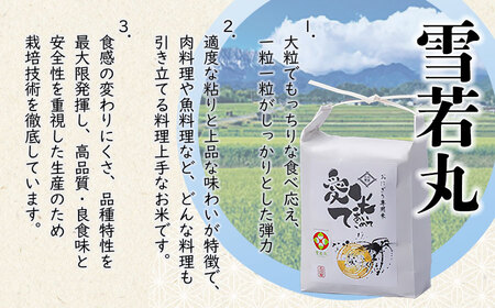 【令和7年産先行予約】【6ヶ月定期便】雪若丸 10kg(5Kg×2袋)× 6ヶ月 山形県鶴岡市産 愛米て