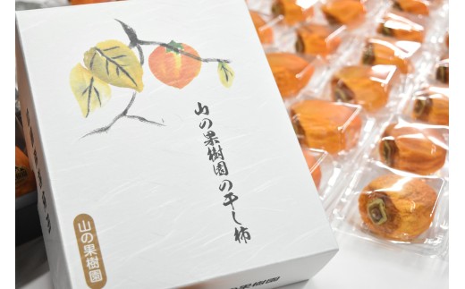 ＜2026年発送分先行予約＞【無添加】大和百目あんぽ柿6個入 ALPAJ026　|  フルーツ くだもの 果物 柿 かき カキ あんぽ柿 山梨 南アルプス