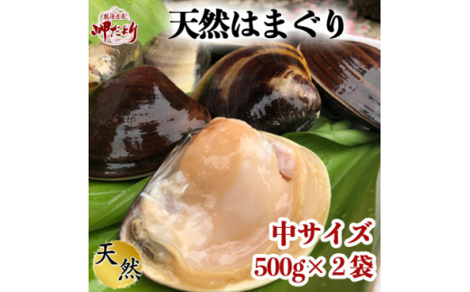 
岬だよりの＜大変希少な＞天然はまぐり 中サイズ 500g×2袋【1245795】
