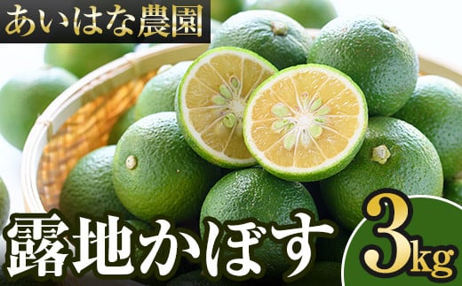 ＜先行予約受付中！2025年8月上旬～2026年2月下旬ごろ順次発送予定＞露地カボス(約3kg)かぼす カボス 柑橘 特産品 大分県産【107100201】【あいはな農園】