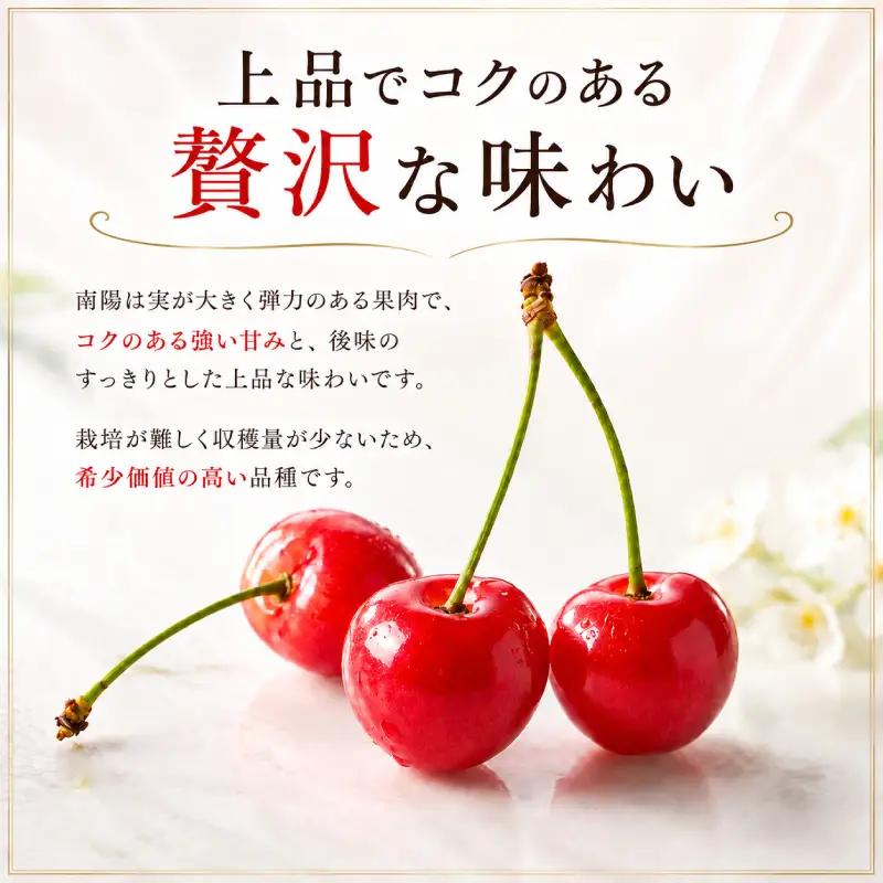 さくらんぼ 360g 南陽 Lサイズ以上 サクランボ