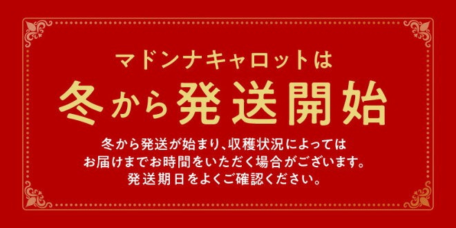 【予約受付】＜フジテレビ『どっちのふるさと？』で紹介されました！＞【期間限定】訳あり！こどもも食べられる甘み！「マドンナキャロット」 10kg 甘い 大容量 やさしい にんじん 人参 ニンジン 野菜 