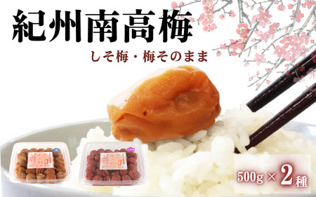 ご家庭用紀州南高梅　＜しそ＆梅そのまま＞500g×2種 / 田辺市 紀州南高梅 南高梅 梅干し 梅干 梅 はちみつ梅 はちみつ漬け しそ梅 しそ漬け かつお梅 白干し梅 昔ながらの梅干し 梅干セット 