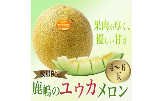 カシマのメロン ユウカメロン 4～6玉（KA-14）