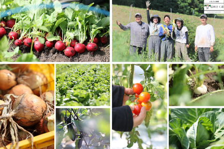 いそベジ農場の季節の野菜詰め合わせセット　定期便　10回便〔IV-10〕