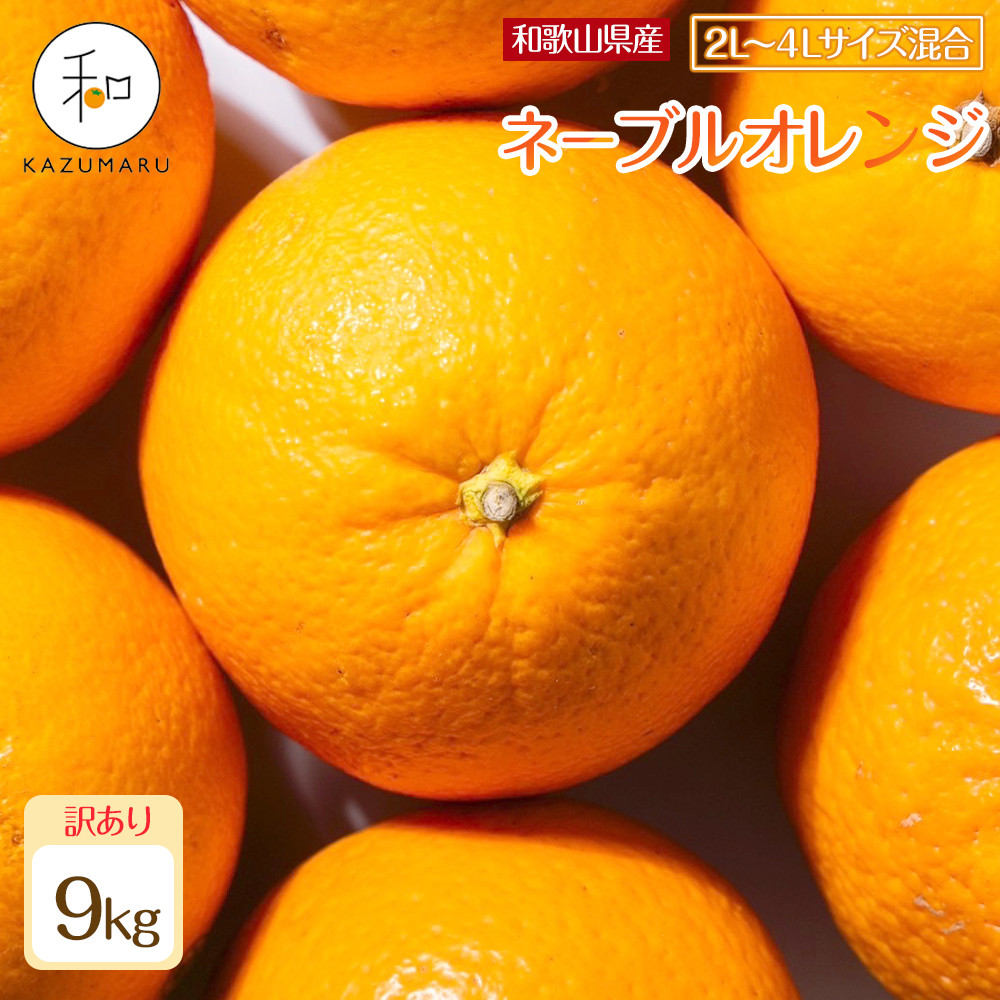 訳あり 森本農園の手選別 大玉ネーブルオレンジ 約9kg 和歌山県産 2L~4Lサイズ混合 ［北海道・沖縄・離島配送不可］［2027年1月上旬から順次発送］［RN109］DJ90109