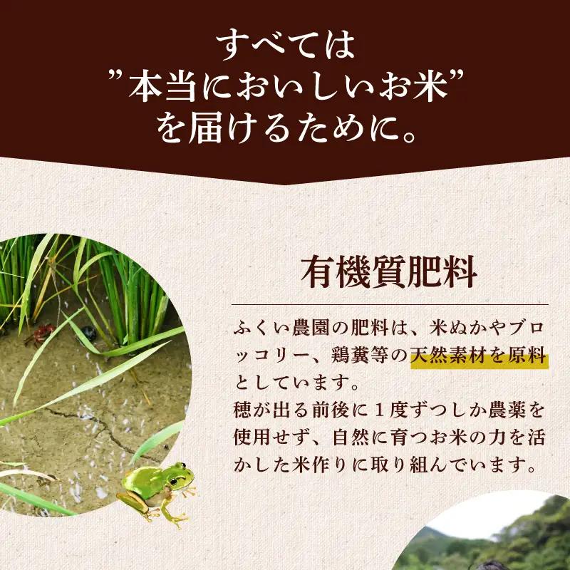 令和8年産 米 コシヒカリ 5kg 白米 精米 コシヒカリ