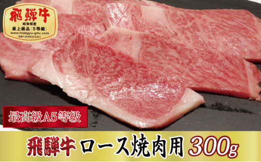 
[№5927-0291]【最高級A5等級】飛騨牛ロース焼肉用300g
