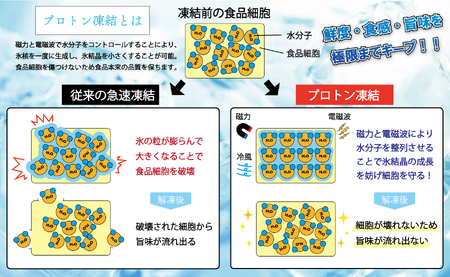 【訳あり】本マグロ 赤身300g 不定貫 養殖マグロ 高知県産 指定日発送可能