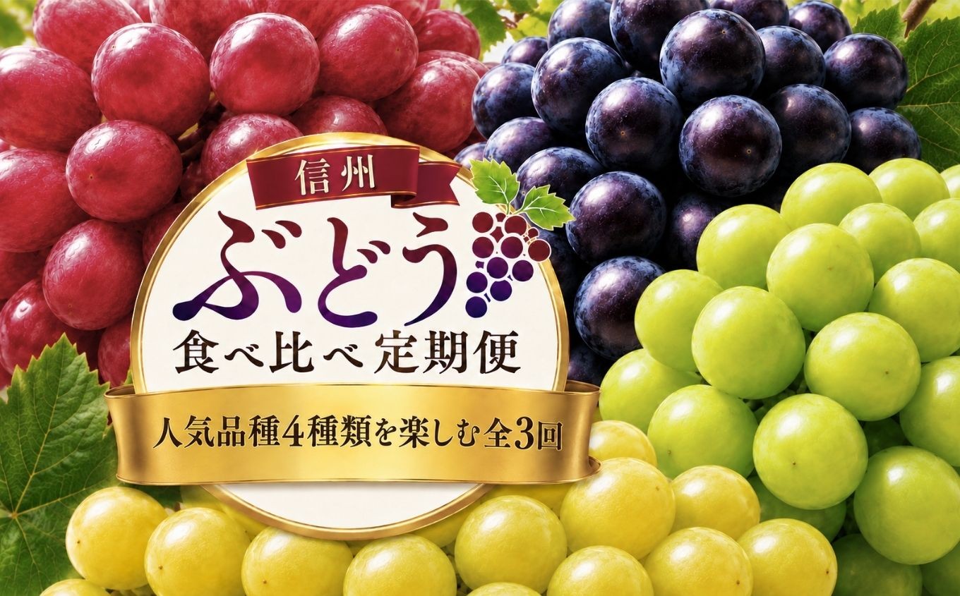 
                  【信州ぶどう食べ比べ定期便】人気品種と松本原産ぶどうを楽しむ全3回（クイーンルージュ・ナガノパープル・シャインマスカット・黄華） ｜ ふるさと納税 フルーツ 果物 ぶどう ブドウ 葡萄 人気 信州 長野県 松本市
                