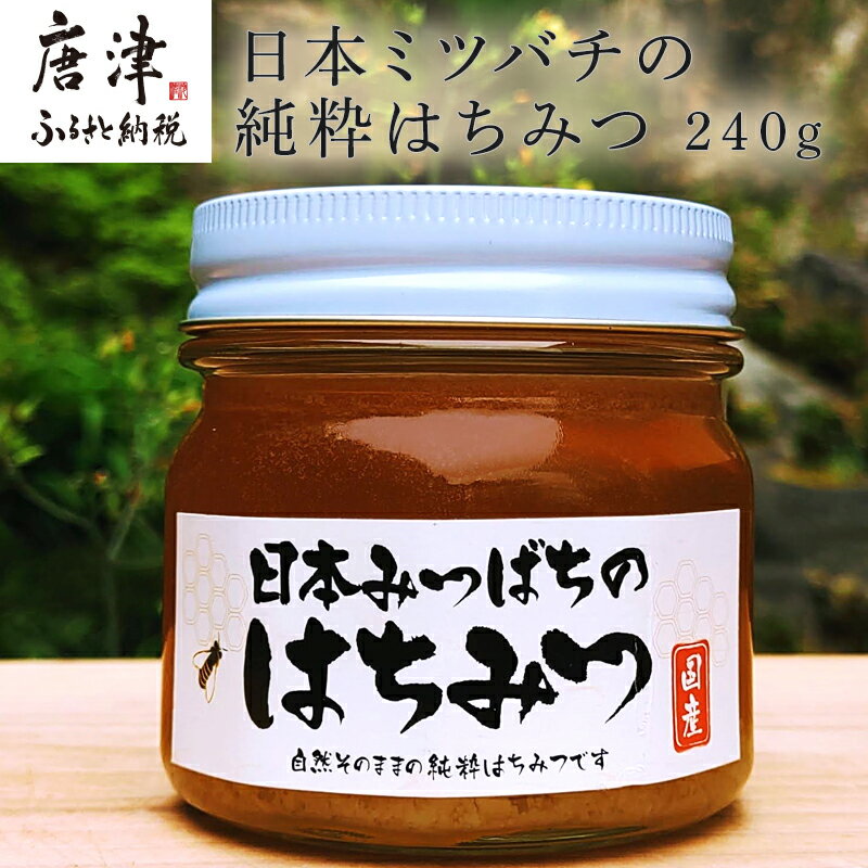 【ふるさと納税】日本ミツバチの純粋はちみつ 240g 瓶 自然 蜜「2025年 令和7年」