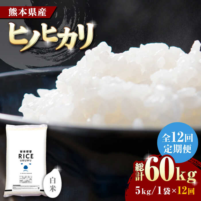 【ふるさと納税】《 新米先行予約 》【全12回定期便】2025年10月より順次発送 ヒノヒカリ 白米 5kg【有限会社 農産ベストパートナー】[ZBP090] 白米 米 おすすめ 人気 ランキング　ひのひかり