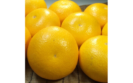 八朔(はっさく)約10kg サイズおまかせ　紀伊国屋文左衛門本舗 ※2026年1月下旬～2026年4月上旬頃に発送予定【kstb411B】