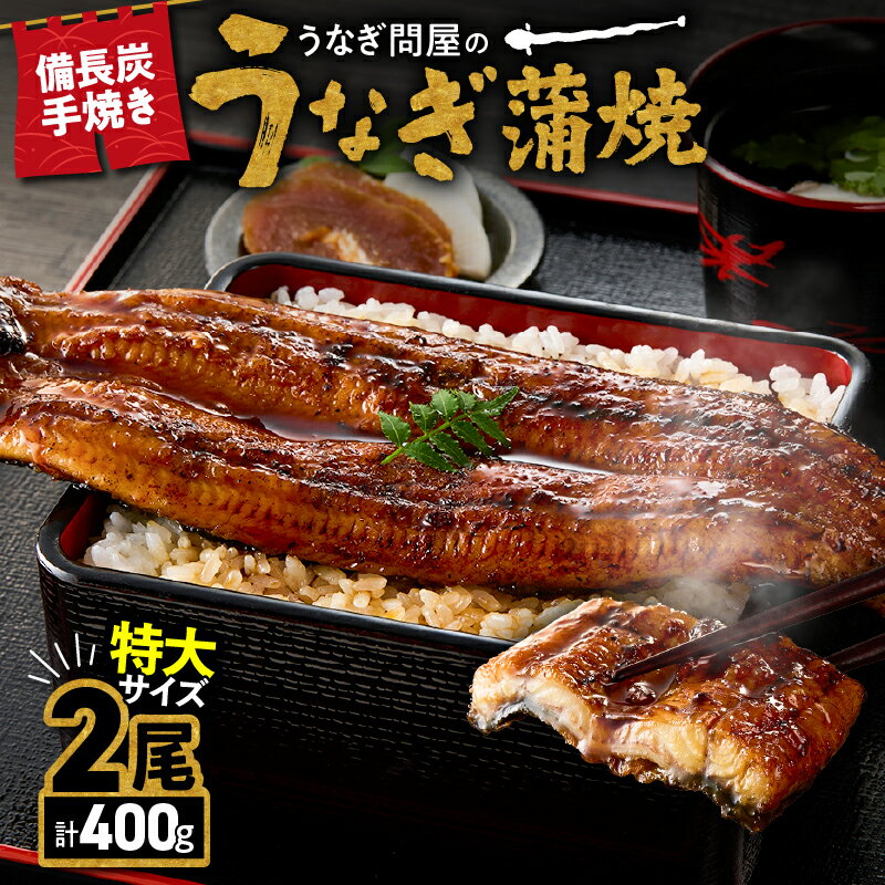 【ふるさと納税】【土用の丑の日特集】うなぎ問屋の　備長炭手焼　うなぎ蒲焼　特大2尾400g 特製タレ・山椒付き！タレと炭の香り豊かな備長炭焼き鰻の蒲焼！【大隅うなぎ販売有限会社】