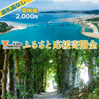 【ふるさと納税】【返礼品なし】沖縄県本部町ふるさと応援寄附金 2000円 寄附のみの応援 寄附のみ 返礼品なし 返礼品無し　御礼品なし　御礼品無し