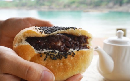 【数量限定】中までぎっしり♪ あんぱん 10個＜岡崎製パン所＞ [CEP023]