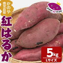 【ふるさと納税】 「かのや紅はるか」生芋 Lサイズ 5kg（1個当たり約200g〜340g、約20個前後） 定められた栽培基準等をクリアした濃厚でしっとりとした食感の紅はるか【さつまいも特集】【有限会社南橋商事】