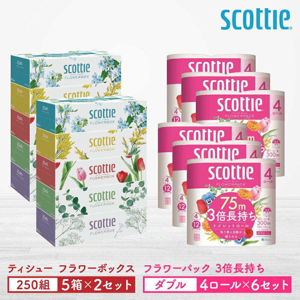 【ふるさと納税】【スコッティ】ティシュー フラワーボックス 250組（5箱パック×2セット）＋フラワーパック 3倍長持ち（4ロール(ダブル)パック×6セット）ティッシュ トイレットペーパー 日用品 送料無料