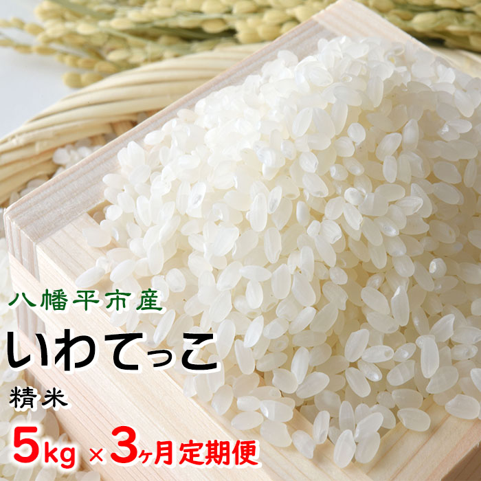 【令和7年産】 新米 11月中旬発送開始予定 いわてっこ 精米 5kg×3ヶ月 定期便 ／ せの畑 こめ 米 コメ お米 おこめ ご飯 ごはん 白米 白飯