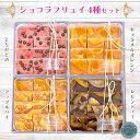 【ふるさと納税】ショコラフリュイ 4種セット｜チョコレート 菓子 [0671]