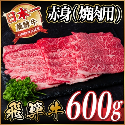 
                  飛騨牛　厳選赤身(焼肉・BBQ用) 600g(300g×2)　黒毛和牛　小分け　A4～A5等級【1543753】
                