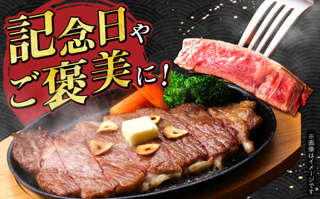 飛騨牛 最高5等級 厚切り ロースステーキ 1.5kg (300g×5枚) 多治見市 / 牛肉 養老ミート 牛肉 冷凍 牛肉 和牛 牛肉 ギフト 牛肉[THG013]