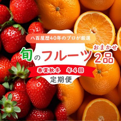 ふるさと納税 長崎市 【発送月固定定期便】旬のフルーツ定期便 食べ比べセット 季節の果物を2品目詰め合わせ全4回