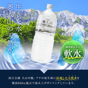 ＜定期便6回＞天然水奥大山(2L×12本入り×6か月・計72本)国産 鳥取県 鳥取県産 大山 奥大山 天然水 水 軟水 ミネラルウォーター ミネラルバランス 山地 ペットボトル 贈り物 ギフト 贈答品