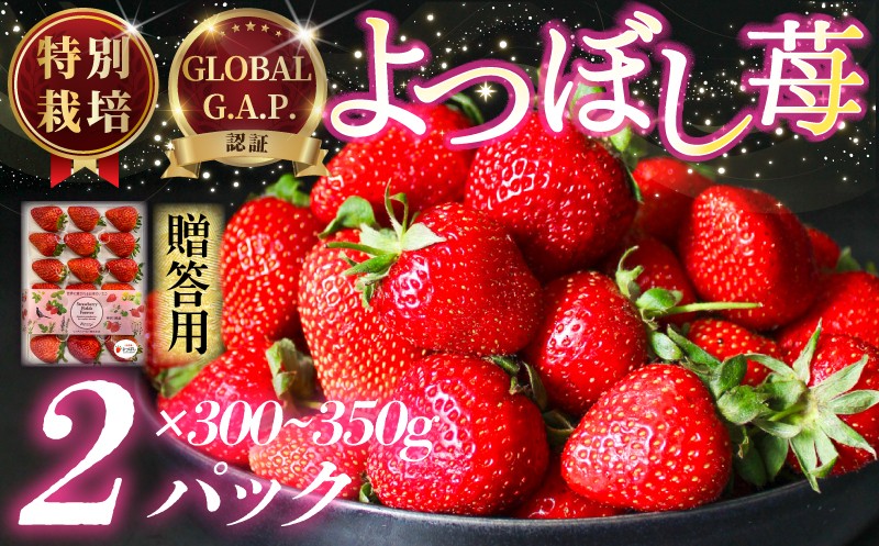 
            いちご 特別栽培 よつぼし 約 600~700g 先行受付 2026年1月発送開始 2 パック GLOBALG.A.P. 認証 ブランドいちご 苺 イチゴ ストロベリー strawberry 贈答 フルーツ 果物 旬 数量限定 期間限定 産地直送 ichigo リッチフィールド株式会社 湘南 藤沢 神奈川
          