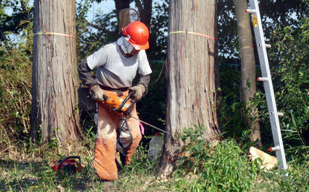 低温バイオ乾燥「郷山薪」24kg / 薪 焚き火 ストーブ アウトドア / 恵那市 /郷山ファクトリー［AUFB001］