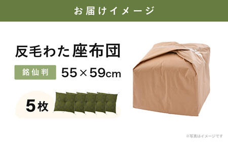 床の硬さを感じにくい「反毛わた」座布団 武田菱（銘仙判55cm×59cm）5枚組【グリーン】 [B-20411_01]