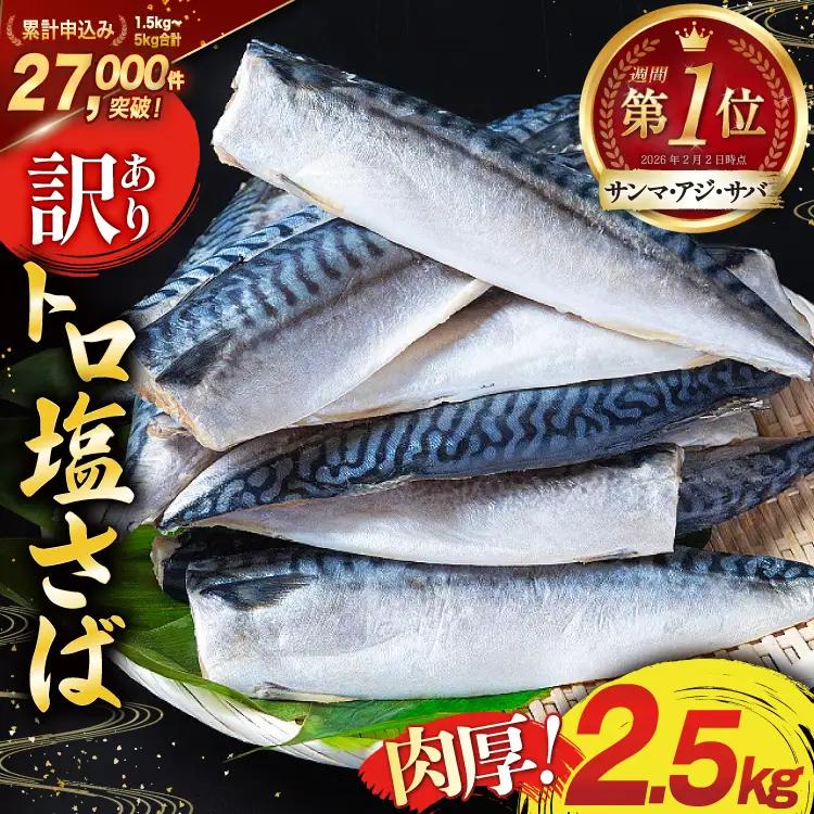 訳あり 塩サバ 2.5kg サバ 鯖