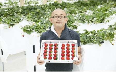 【先行予約】四季成りいちご 品種おまかせ 1種類 400g〈 なつあかり 信大BS8-9 夏の輝 夏のしずく すずあかね 〉【 イチゴ 苺 ストロベリー フルーツ 果物 岩手 陸前高田 リアスターファ